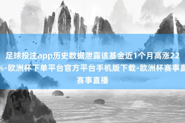 足球投注app历史数据泄露该基金近1个月高涨22.5%-欧洲杯下单平台官方平台手机版下载-欧洲杯赛事直播