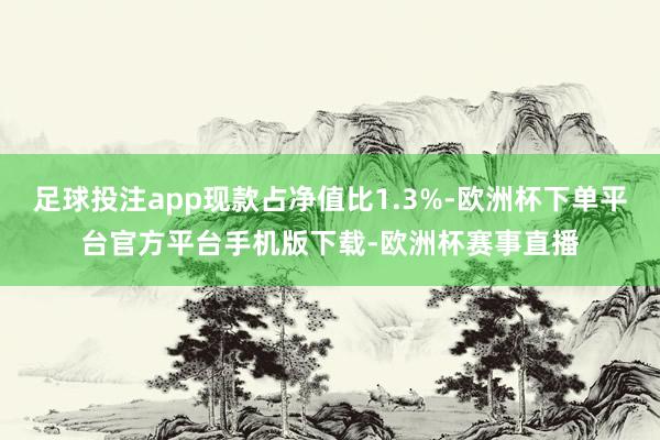 足球投注app现款占净值比1.3%-欧洲杯下单平台官方平台手机版下载-欧洲杯赛事直播