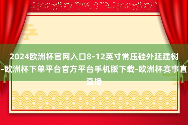 2024欧洲杯官网入口8-12英寸常压硅外延建树等-欧洲杯下单平台官方平台手机版下载-欧洲杯赛事直播