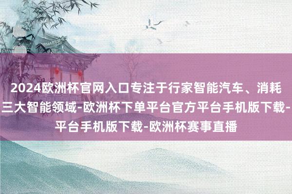 2024欧洲杯官网入口专注于行家智能汽车、消耗电子与数字动力三大智能领域-欧洲杯下单平台官方平台手机版下载-欧洲杯赛事直播