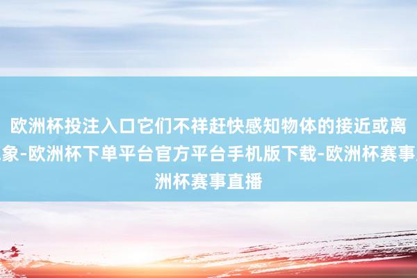 欧洲杯投注入口它们不祥赶快感知物体的接近或离开气象-欧洲杯下单平台官方平台手机版下载-欧洲杯赛事直播